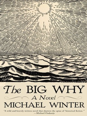 cover image of The Big Why